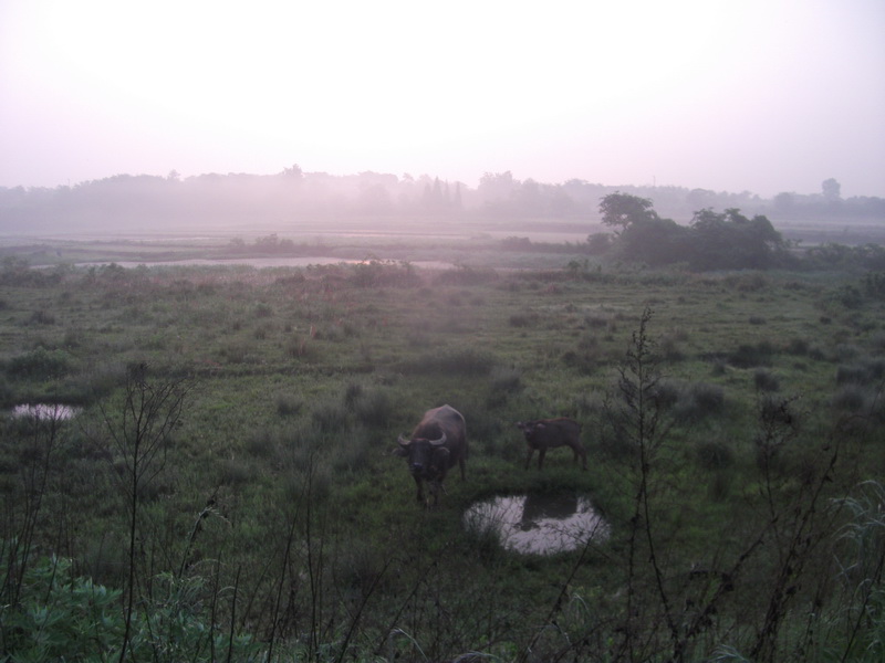 dscf0123.jpg