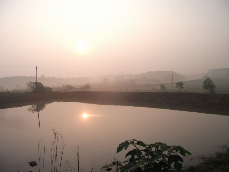 dscf0124.jpg