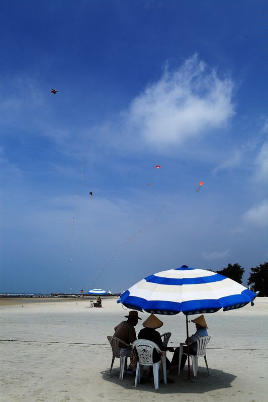 _mg_6531.jpg