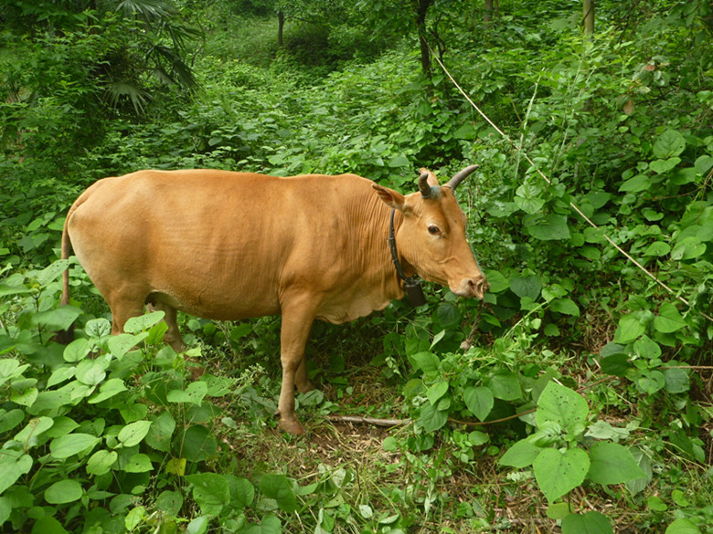 p1110664_.jpg