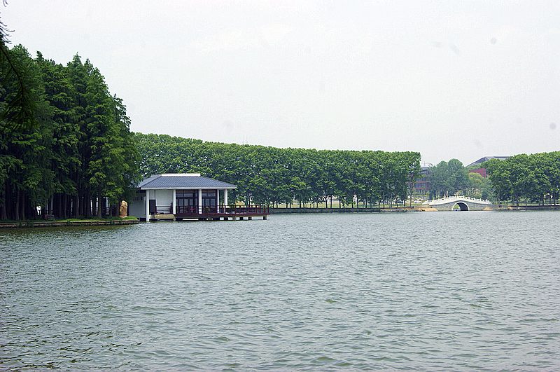 dsc00228.jpg