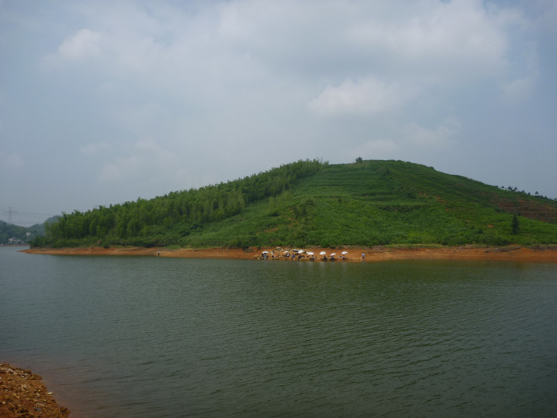 p1110670_.jpg