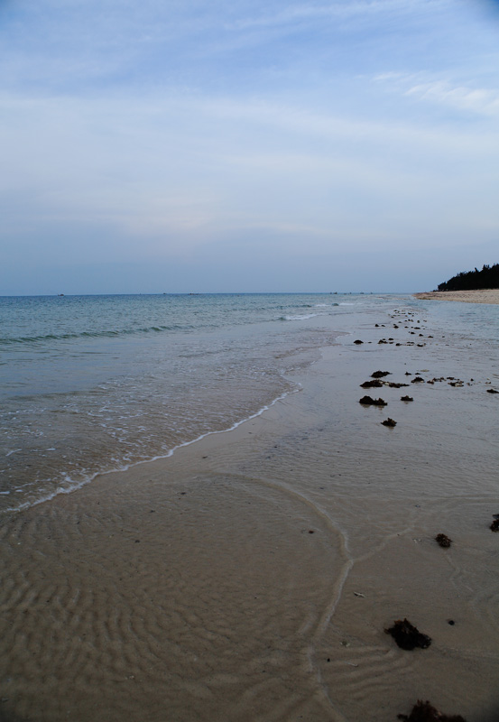 _mg_6585.jpg