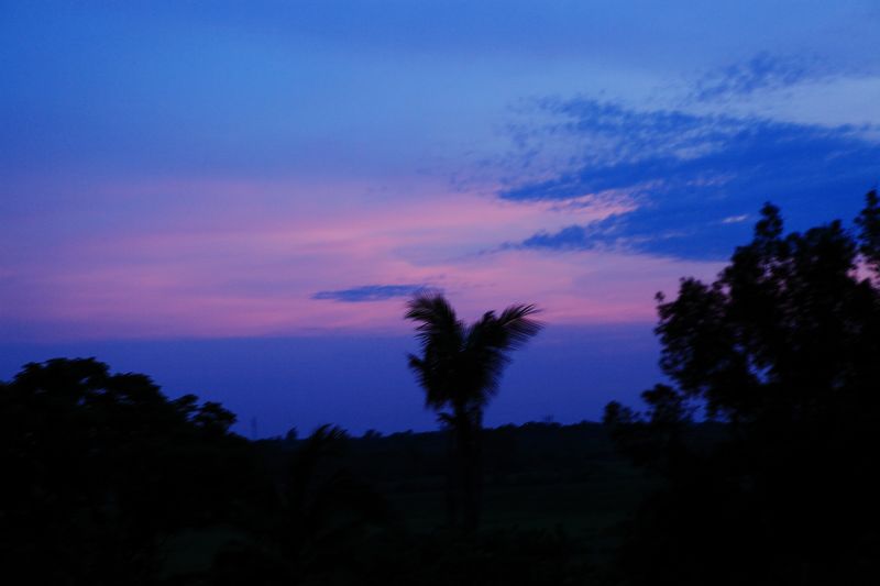 _mg_6619.jpg