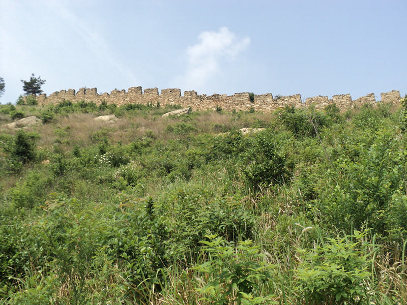 dsc08490_.jpg