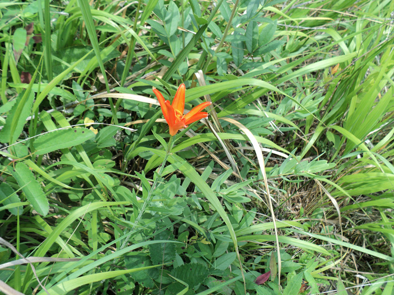 dsc08499_.jpg