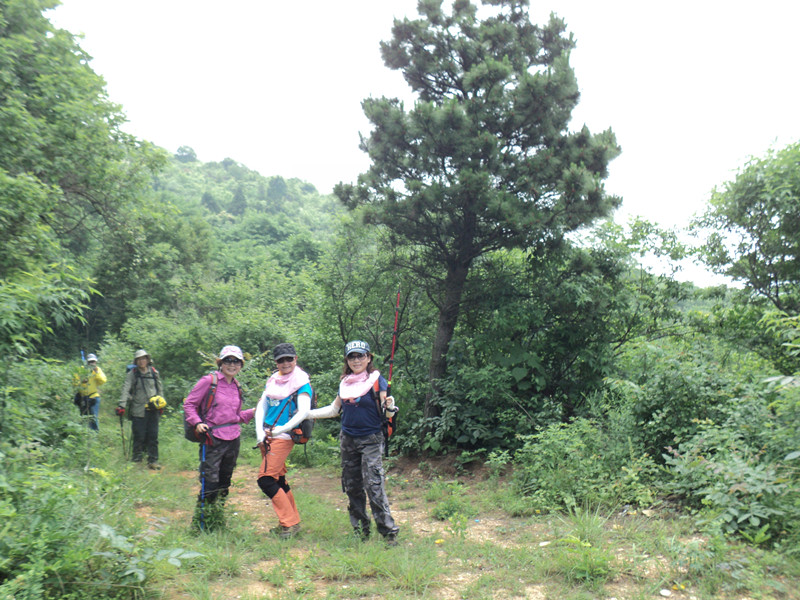 dsc08505_.jpg