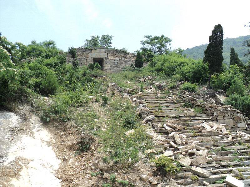 dsc08506_.jpg