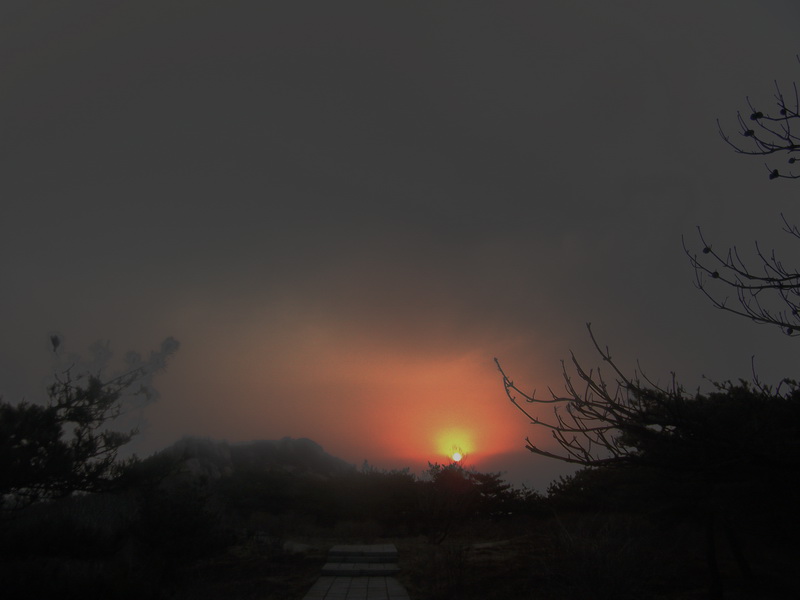 dscf0260.jpg