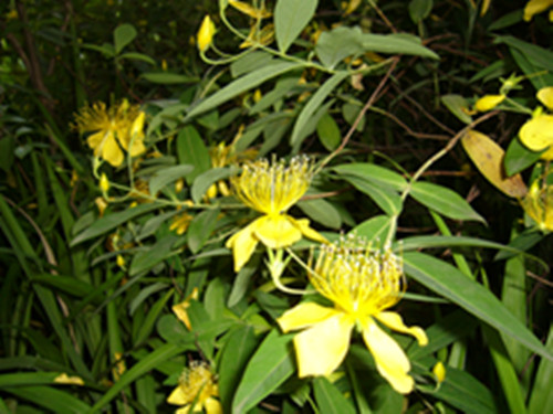 p1020608_.jpg