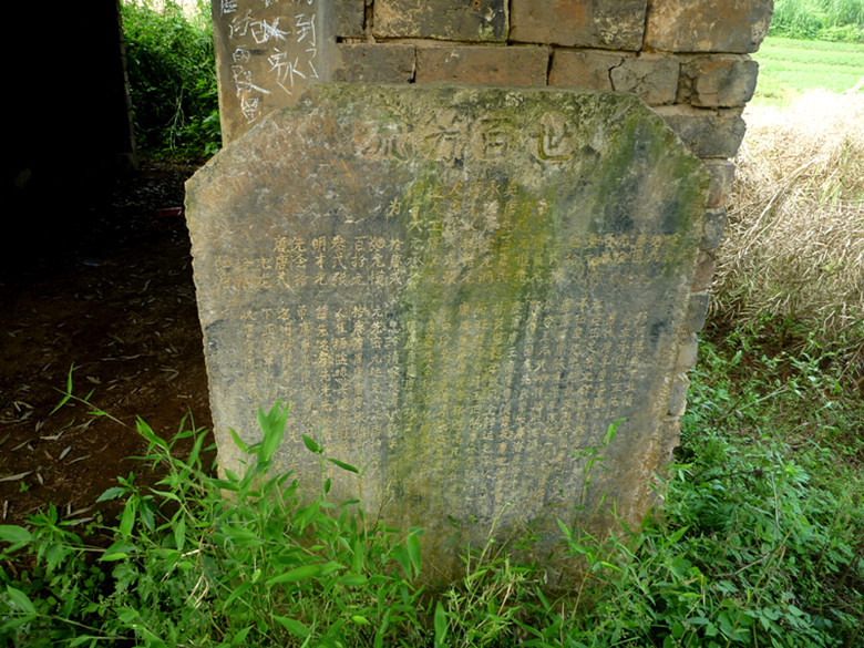 p1110679_.jpg
