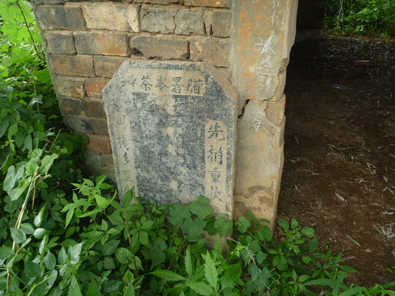 p1110680_.jpg