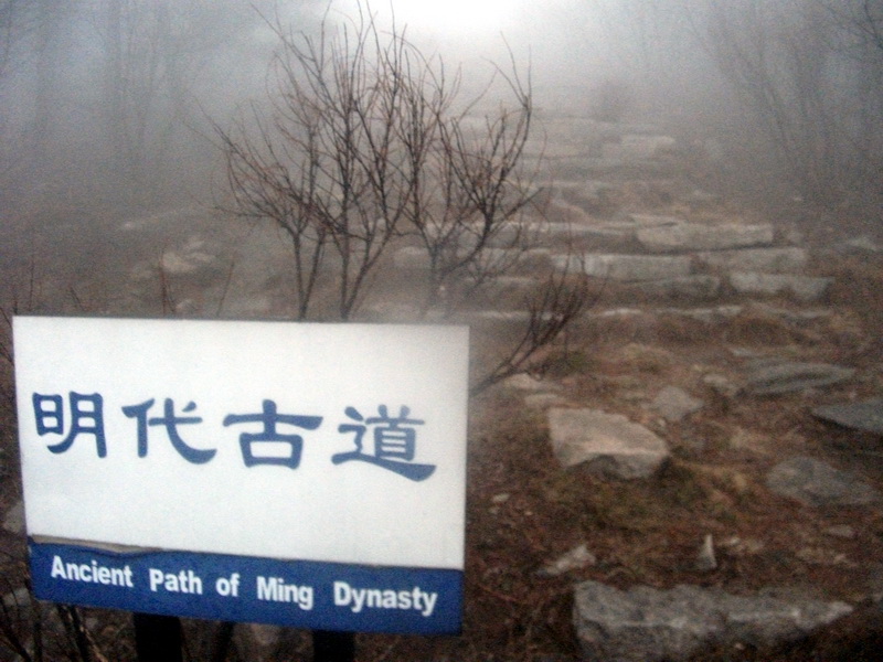 dscf0245.jpg