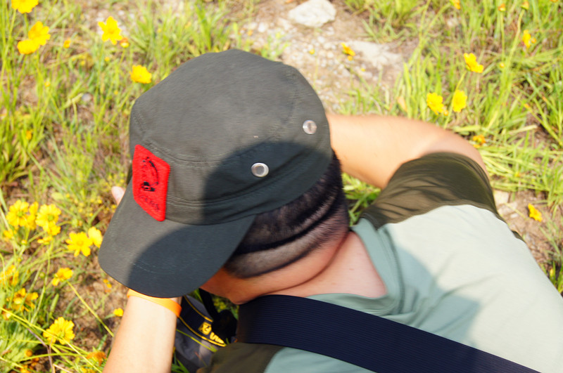 83.jpg
