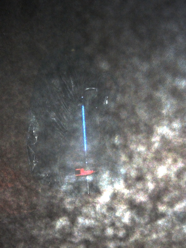 dscf0255.jpg