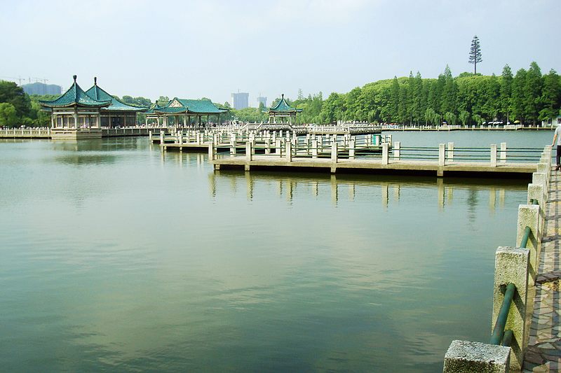 dsc00480.jpg