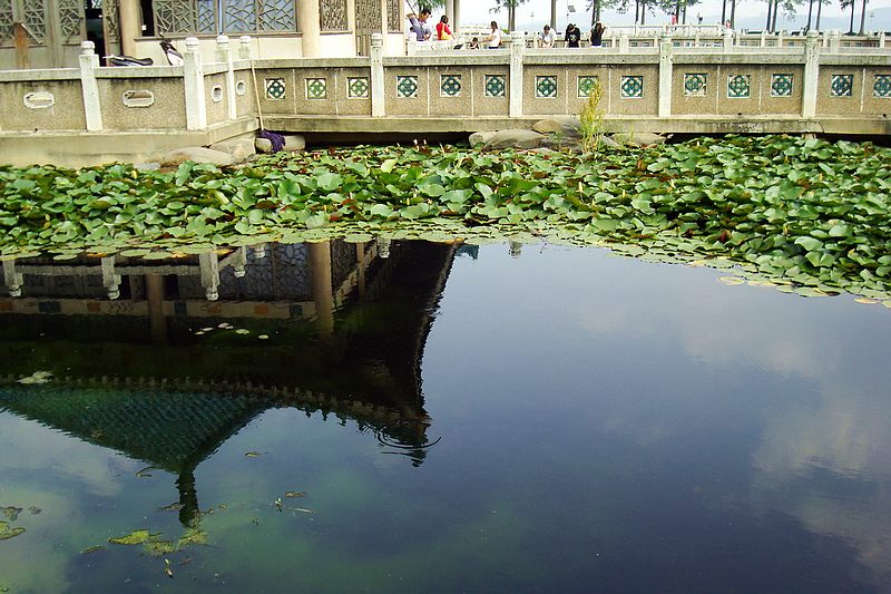 dsc00541.jpg