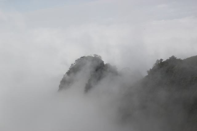 img_3261.jpg