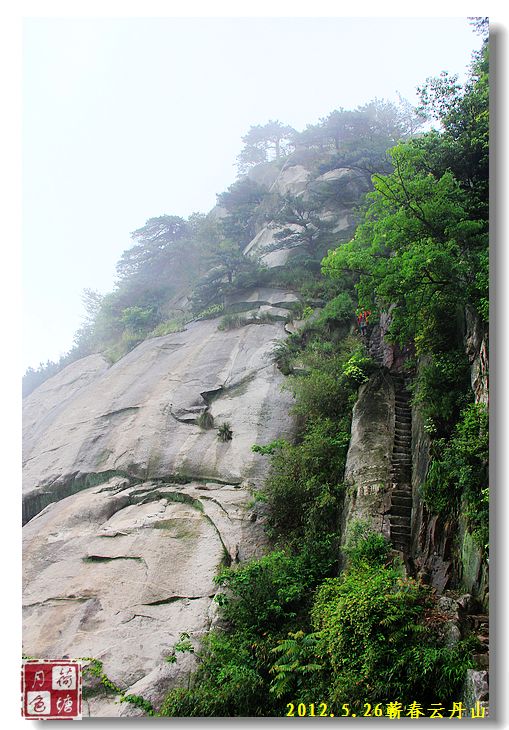 Ƭ 055.jpg