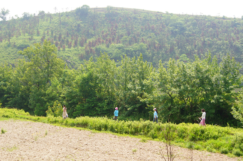 167.jpg