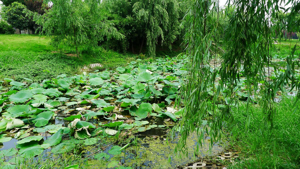 neo_img_ 006_conew1.jpg