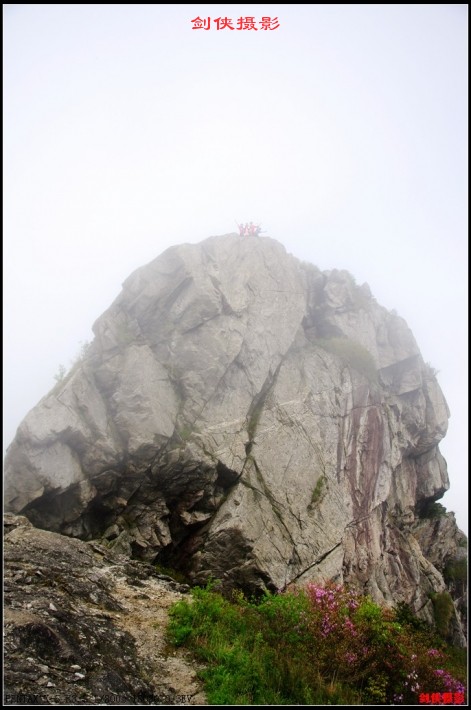 conew_27.jpg