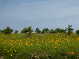 p1040840.jpg
