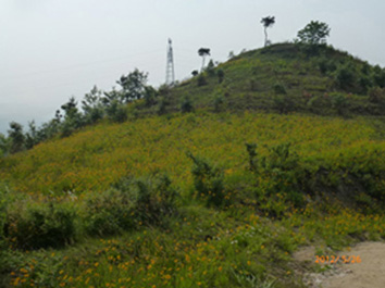 p1040836.jpg