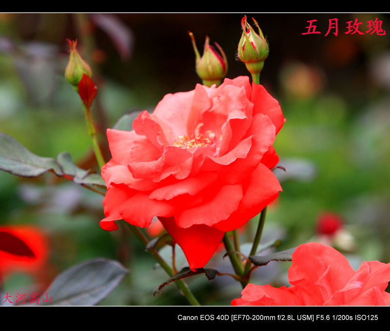 img_1976.jpg