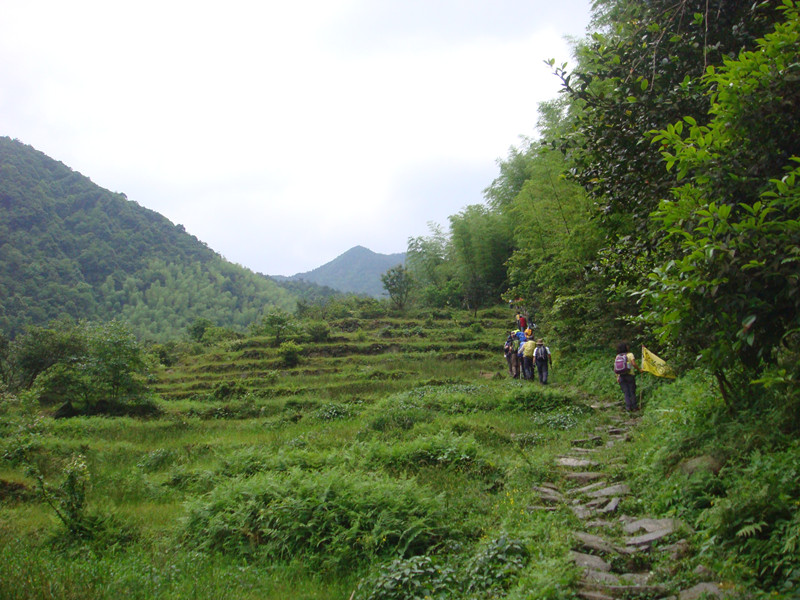 dsc07423_.jpg