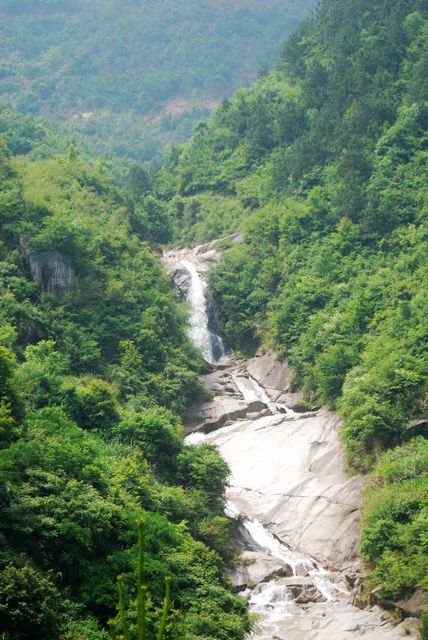 dsc_0470.jpg