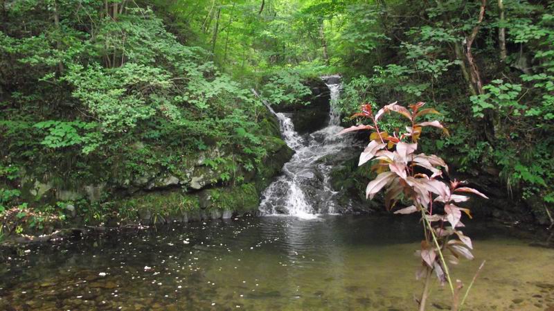 dscf1290.jpg2.jpg