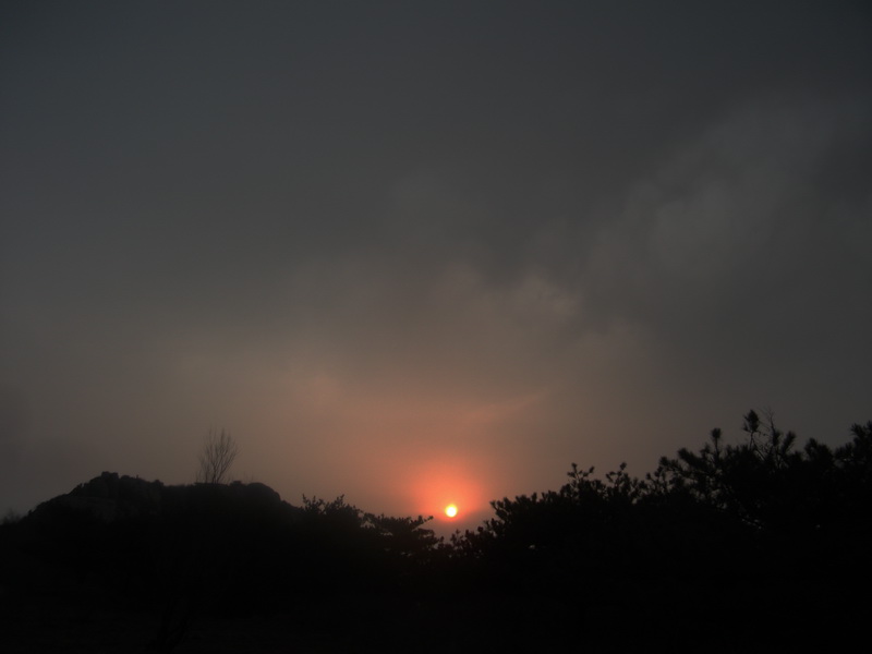 dscf0262.jpg