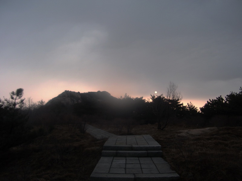 dscf0274.jpg