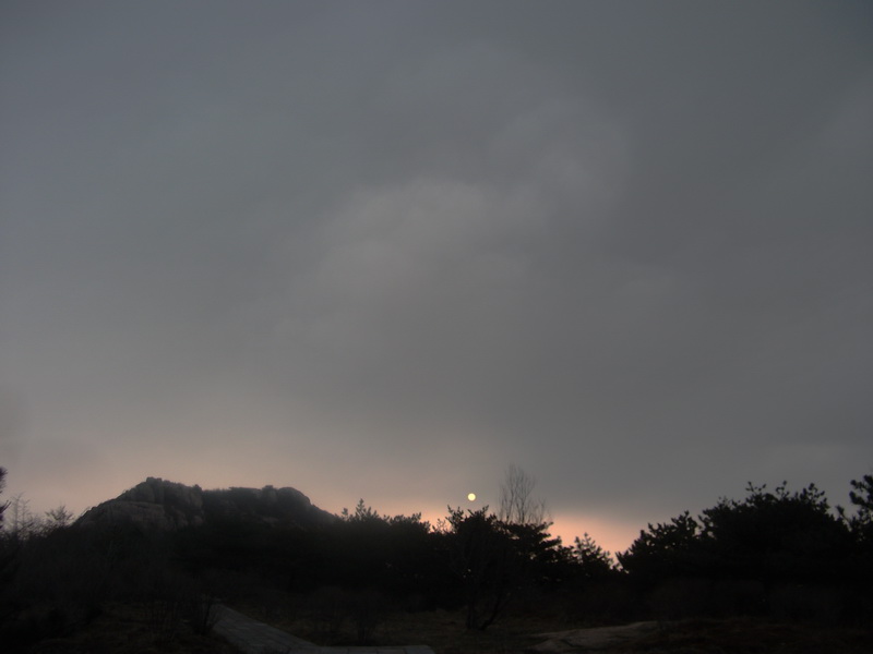 dscf0275.jpg