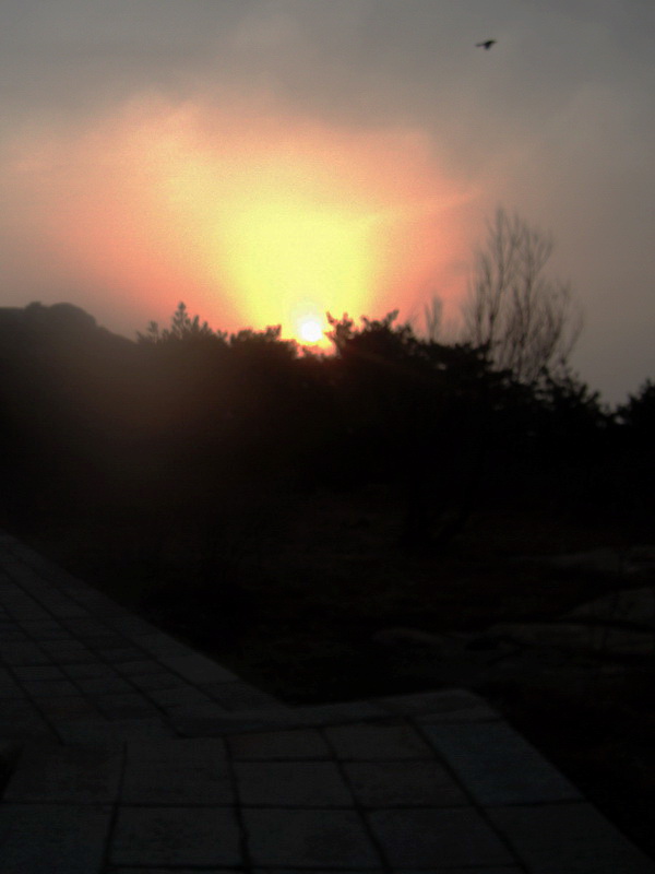 dscf0268.jpg