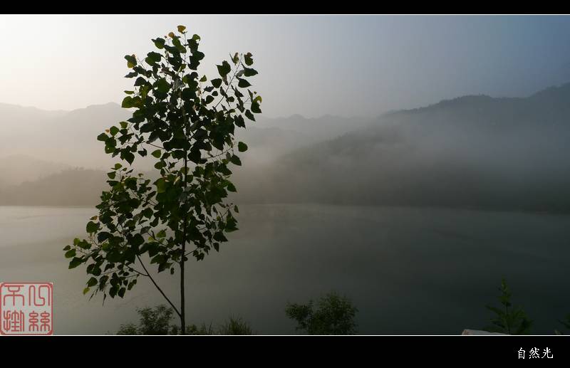 l1340826.jpg