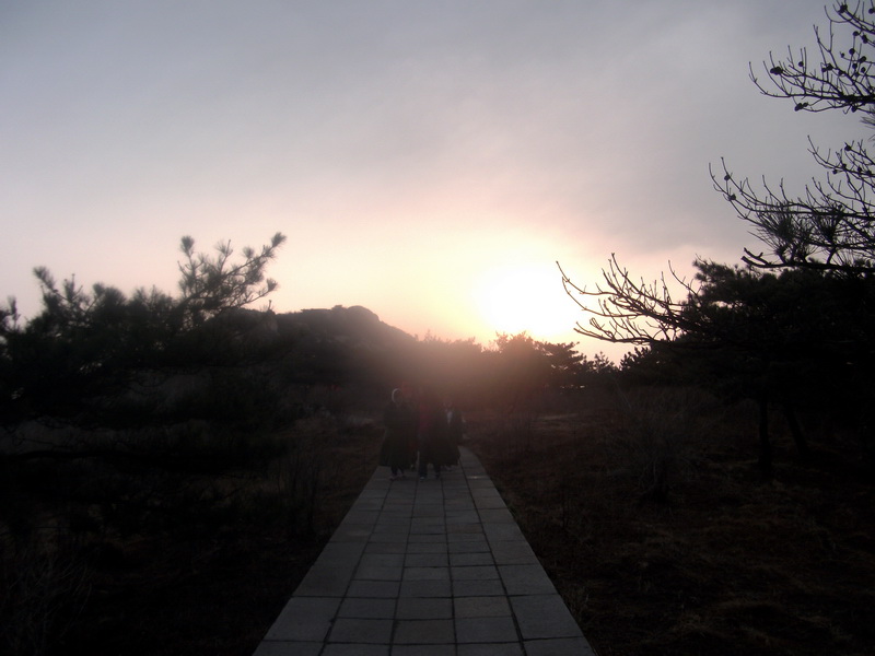 dscf0271.jpg