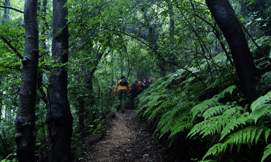 _dsc1473.jpg