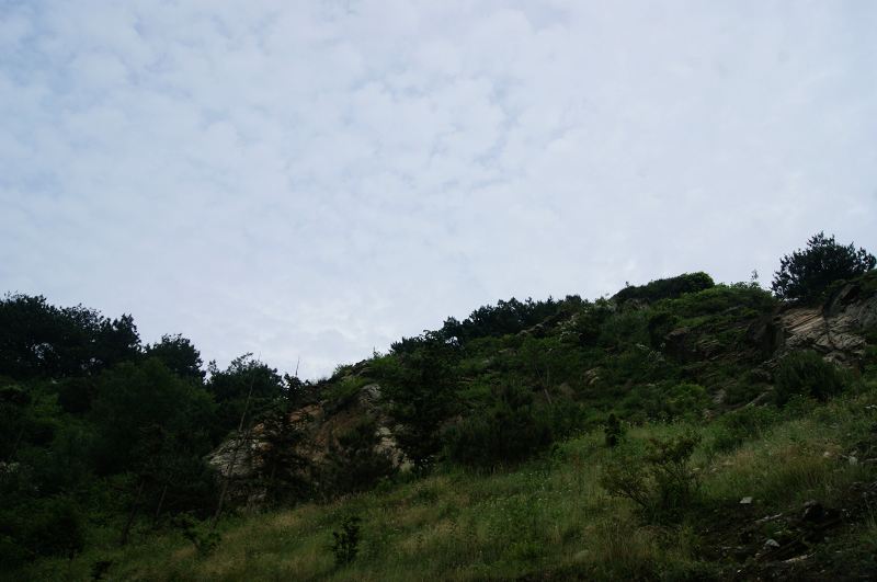 dsc00676.jpg