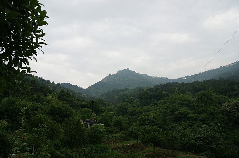 dsc00740.jpg