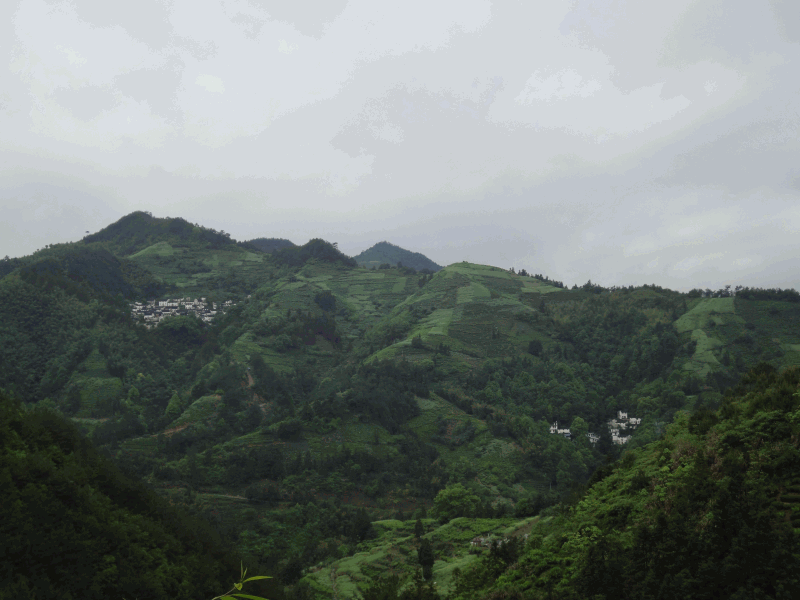 dsc09038.gif