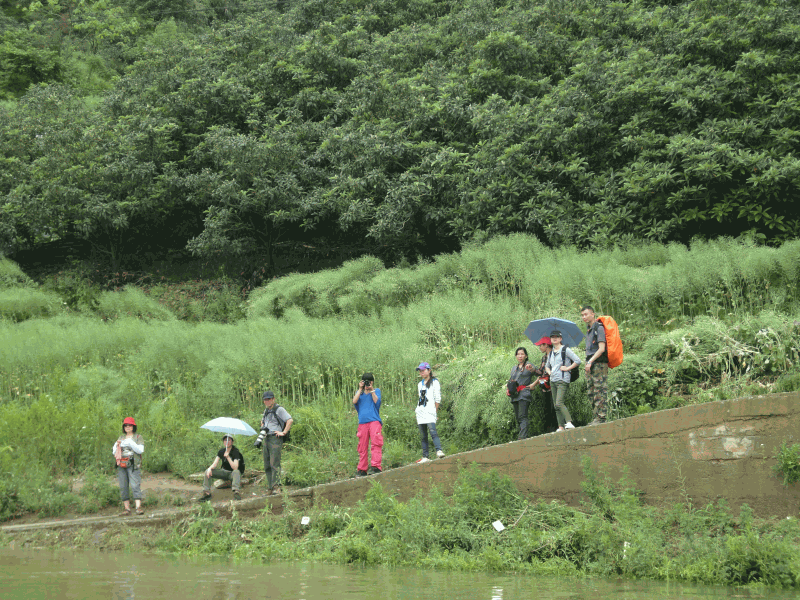dsc09024.gif