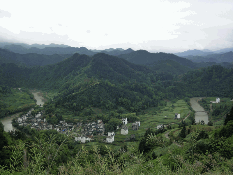 dsc09043.gif