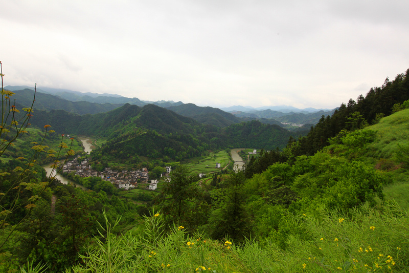 img_4175.jpg