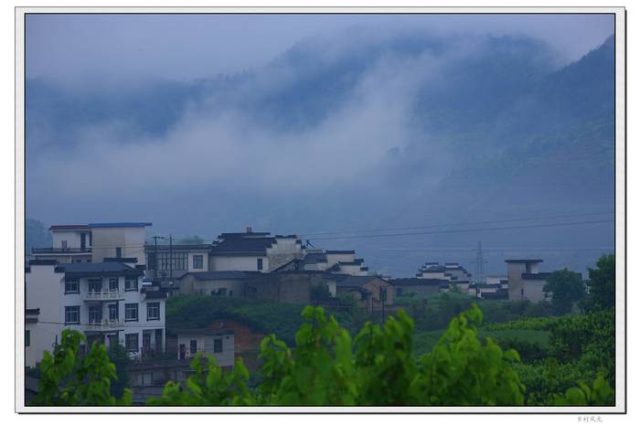 neo_img_img_7329.jpg