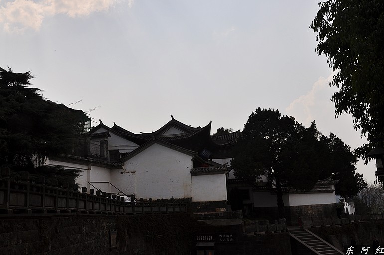 dsc_0415.jpg