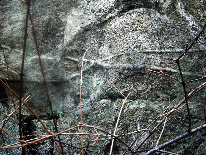 dscf0345.jpg