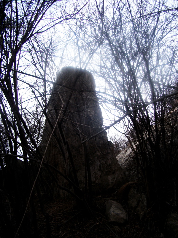 dscf0346.jpg