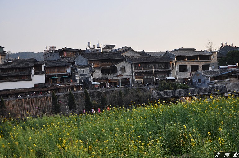 dsc_0478.jpg